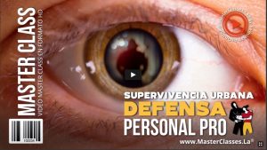 curso en linea de defensa personal