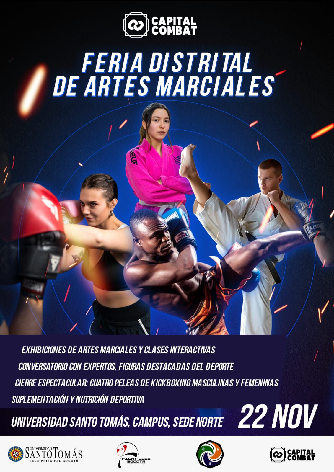 feria de artes marciales
