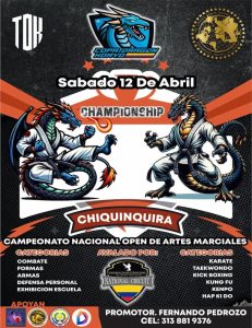 artes marciales en Chiquinquirá